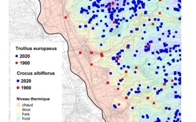 Réchauffement climatique et migration de la flore dans le Chablais